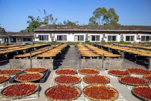 潮州廣式涼果工廠消防維保 潮州廣式涼果工廠消防維保